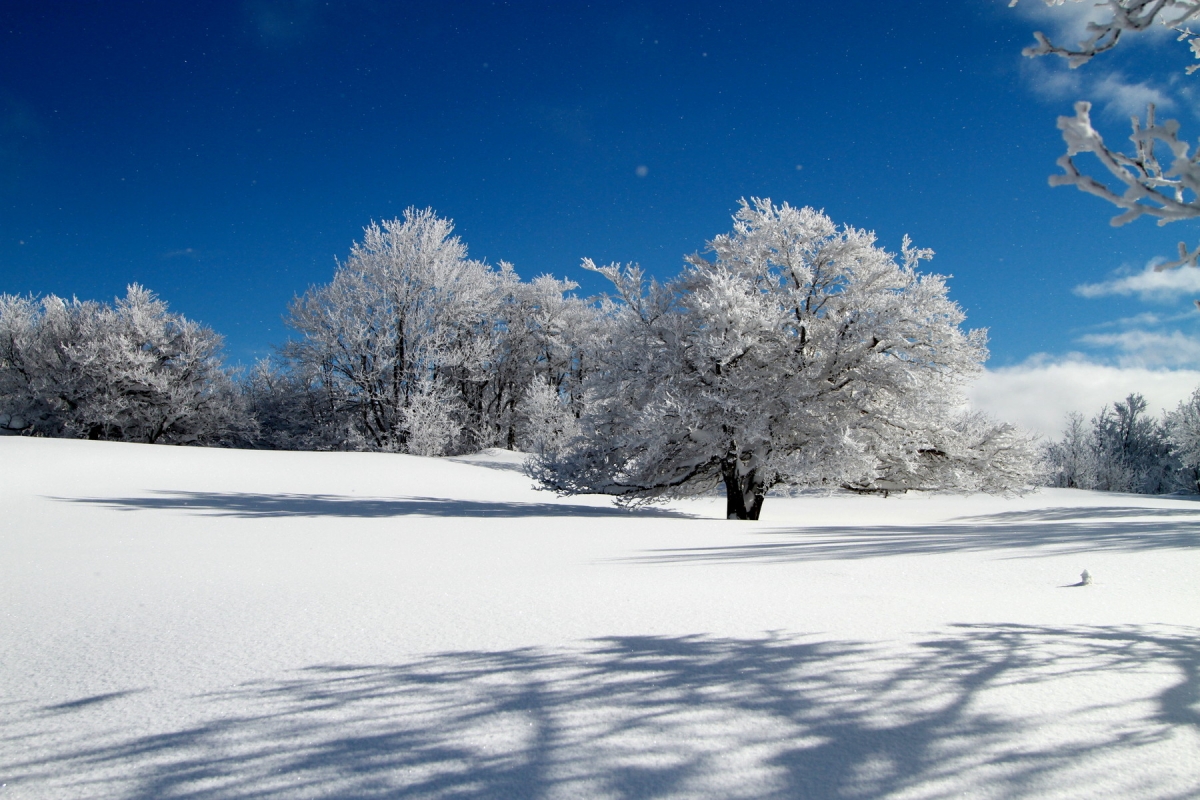 02 - Longue sieste : pied dans la neige, tête au soleil