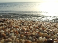 paysage_03