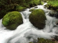 paysage_12