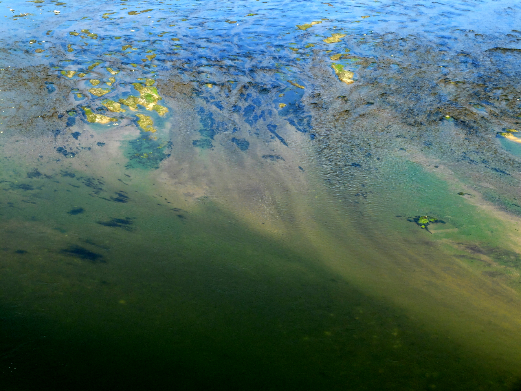 Peinture à l'huile... ou à Loire ?