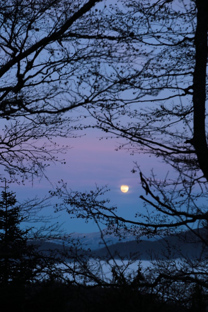 Lever de pleine lune façon estampe